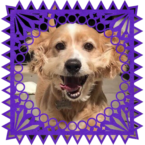 Photo of Sasy in a frame with papel picado.