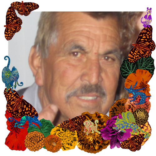 Photo of Seferino Salas in a frame with marigolds, flowers, alebrijes and monarch butterflies.
