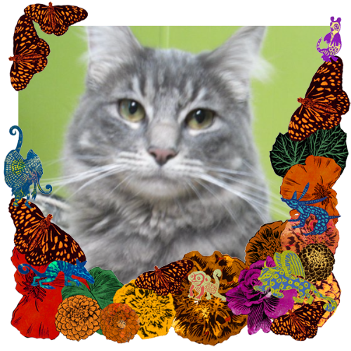 Photo of SpunkyAMena in a frame with marigolds, flowers, alebrijes and monarch butterflies.