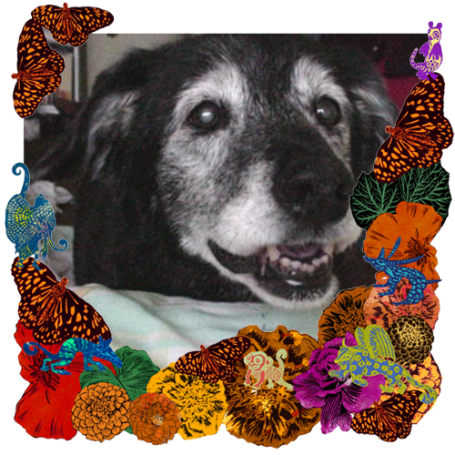 Photo of Sumi Afuso in a frame with marigolds, flowers, alebrijes and monarch butterflies.
