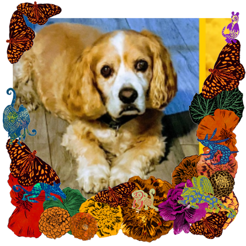 Photo of Sunny ("Sunshine") in a frame with marigolds, flowers, alebrijes and monarch butterflies.