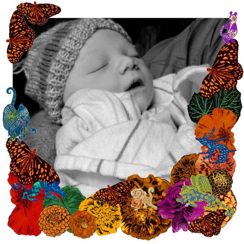 Photo of Timothy in a frame with marigolds, flowers, alebrijes and monarch butterflies.