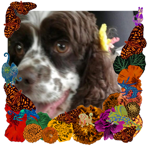 Photo of Tina in a frame with marigolds, flowers, alebrijes and monarch butterflies.