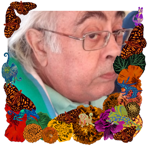 Photo of Jorge Juan in a frame with marigolds, flowers, alebrijes and monarch butterflies.