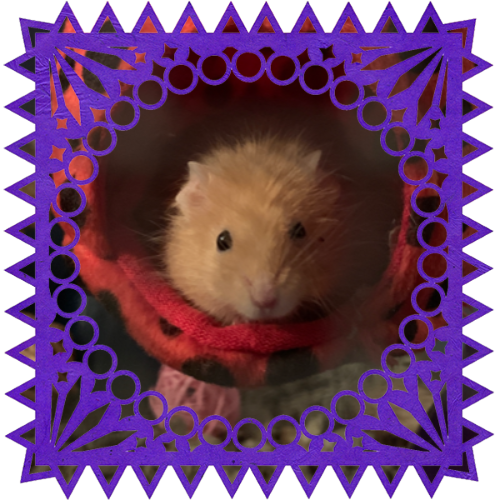 Photo of Vivienne Bassin in a frame with papel picado.