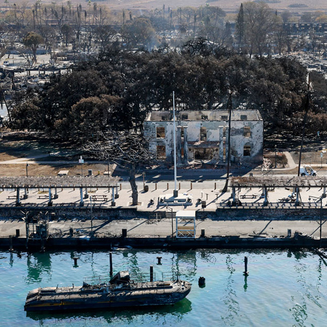 Banyan tree among a large burned building with a charred boat in the foreground