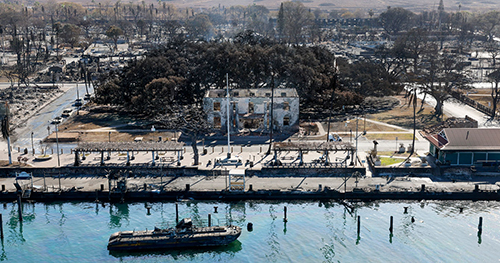 Banyan tree among a large burned building with a charred boat in the foreground