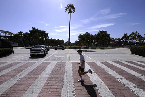 A man jogs past a lone palm tree.