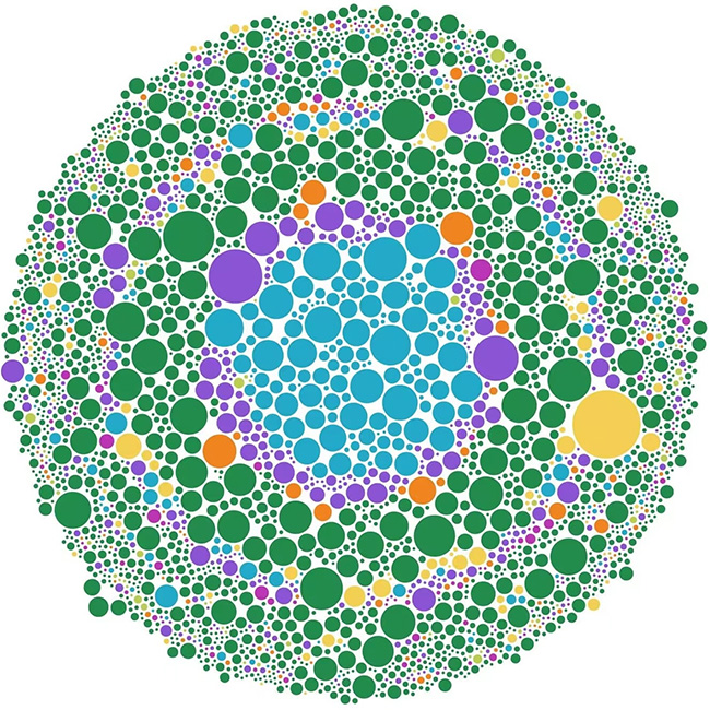 Data visualization showing circles sized to represent different species observed in California