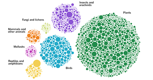 Data visualization showing circles sized to represent different species observed in California