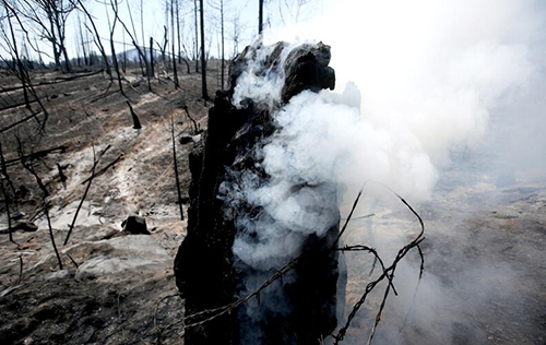 Smoke rises from a charred tree stump.