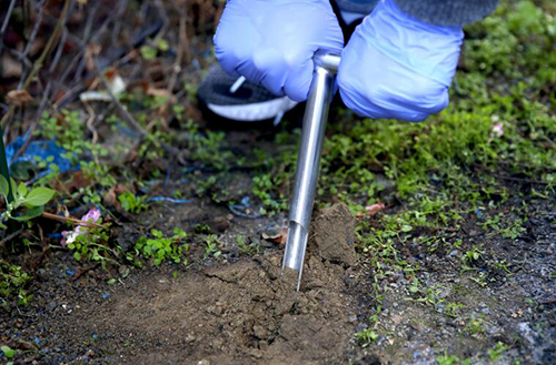 A person wearing protective gloves uses a tool to remove soil from the ground.
