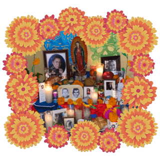 Foto de Padres, Abuelos, Cuñedo, Amigos, y Mascotas adentro de un borde de cempasĂșchiles anaranjados, amarillos y rosas