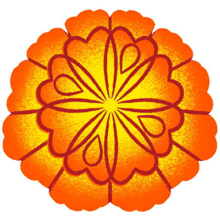 marigold flower 