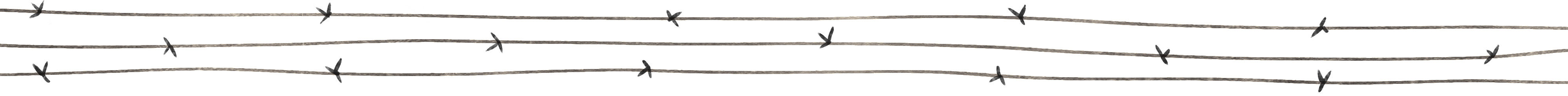 Illustration of three lines of barbed wire