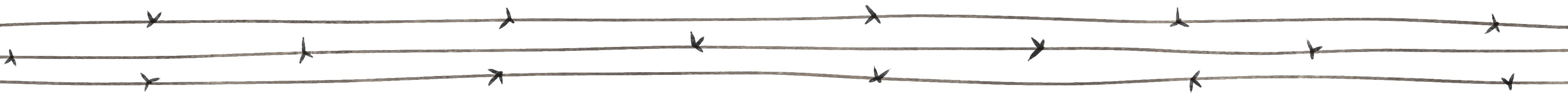Illustration of three lines of barbed wire