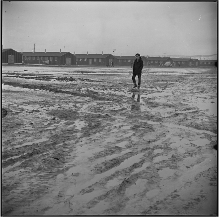 Tule Lake barracks