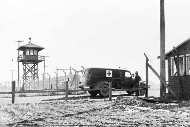 Tule Lake fence