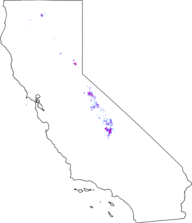 Snow cover on July 15, 2023.