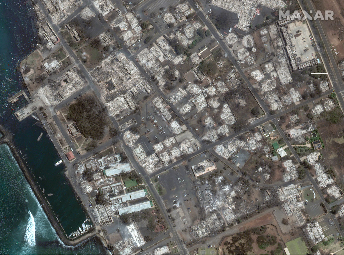 Satellite imagery shows burned buildings in Lahaina’s historic Front Street, including a large banyan tree