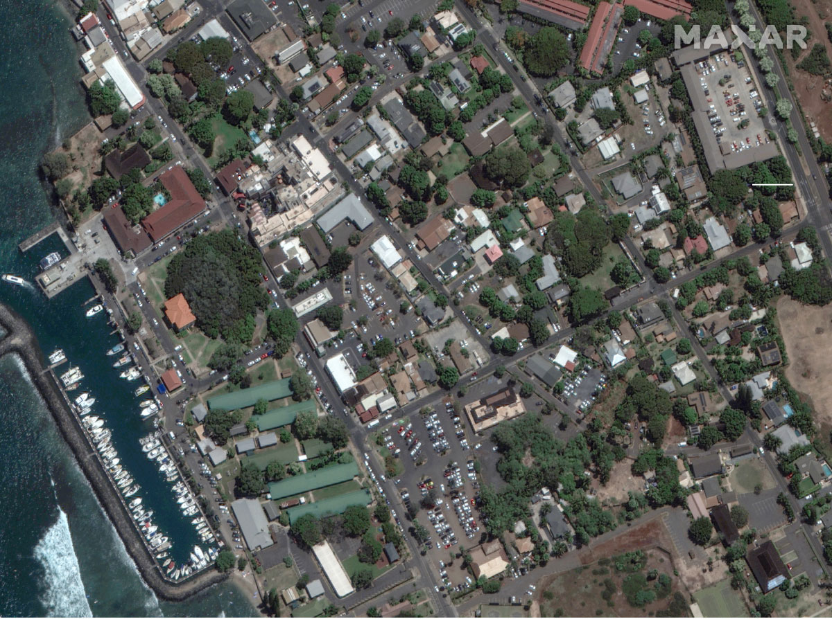 Satellite imagery shows burned buildings in Lahaina’s historic Front Street, including a large banyan tree