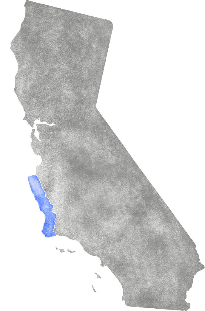Morro Bay coast