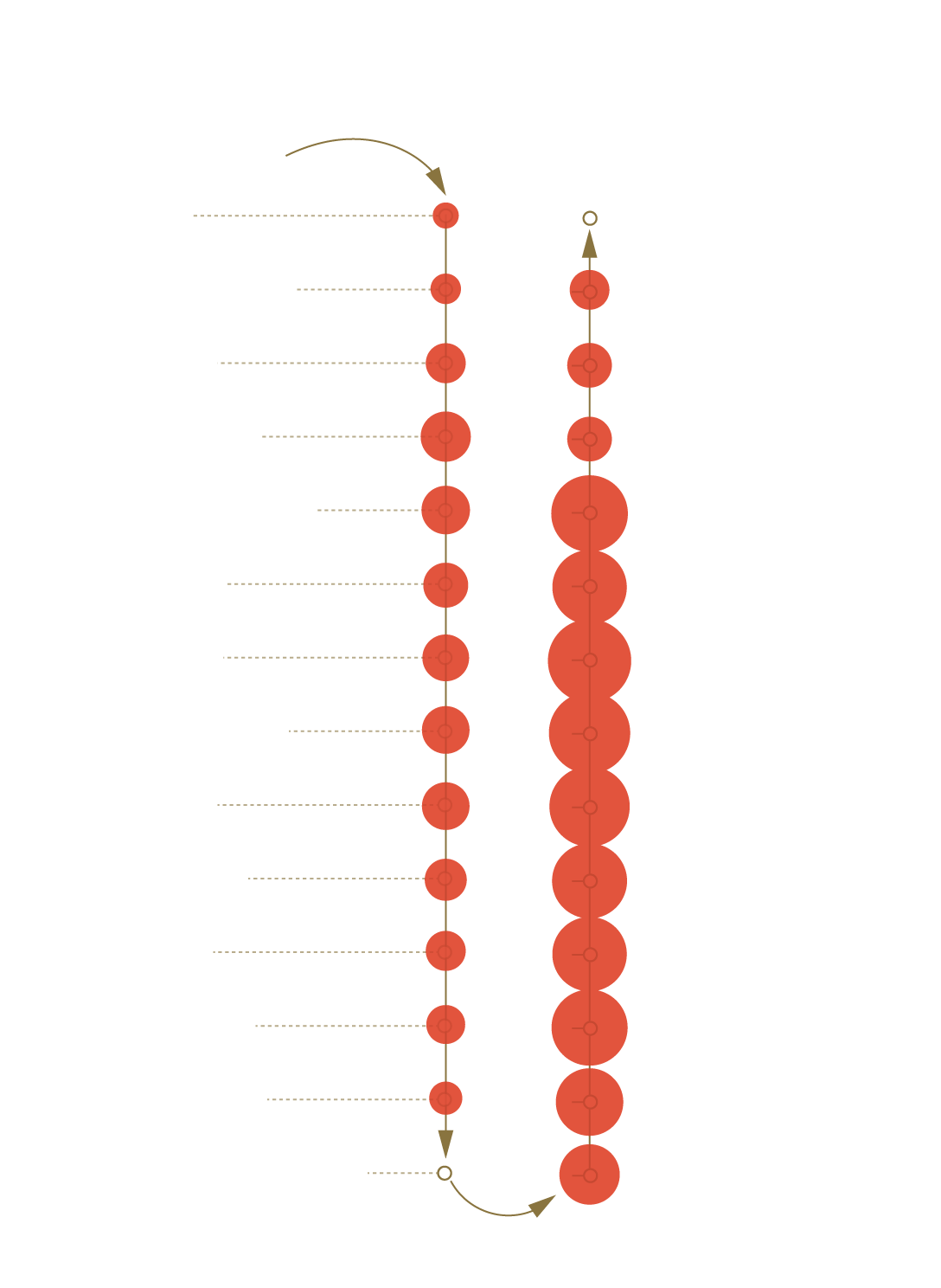 Diagram of the B Line stops with reported counts of people from the Union Station through North Hollywood and back.