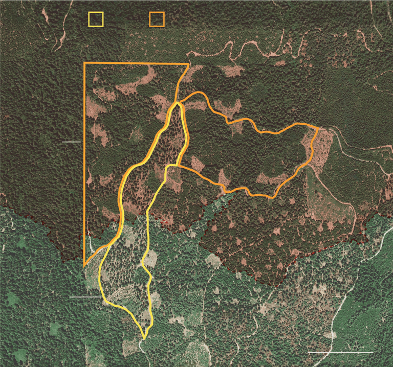 A satellite image that demonstrates how researchers divided the land into sections and managed them using different techniques. One area shows land treated with prescribed burns and has fewer trees. Another area contains more trees and fuel, leading to higher fire danger.